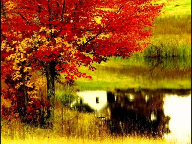 Постер Альфа - Осенние кустарники (Я не грущу)