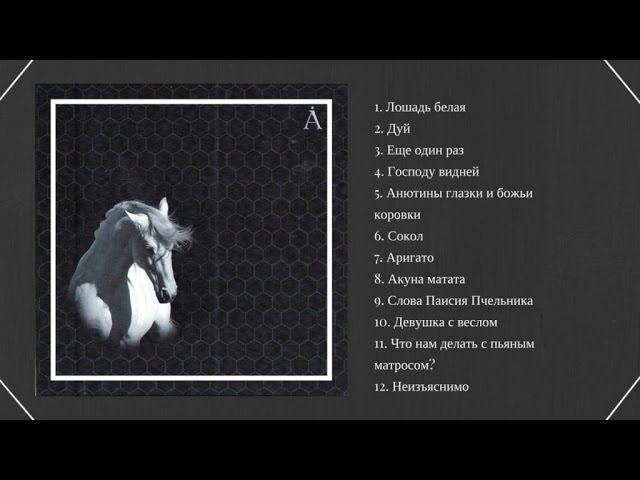 Постер Аквариум - Great horse