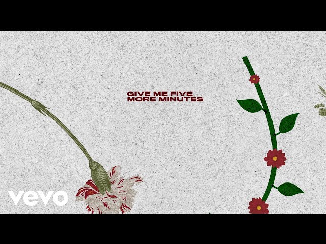 Постер Jonas Brothers - Five More Minutes