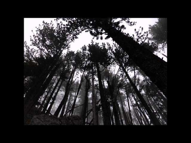 Постер Black Lab - The Road