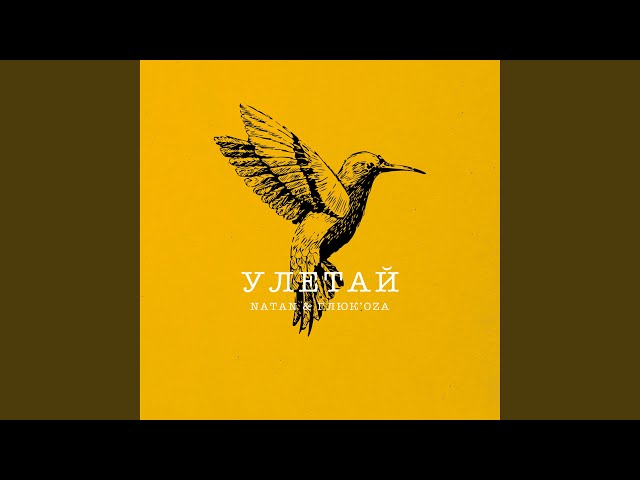 Постер Рейс - Улетай