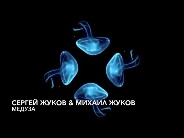 Постер Сергей Жуков & Михаил Жуков - Медуза