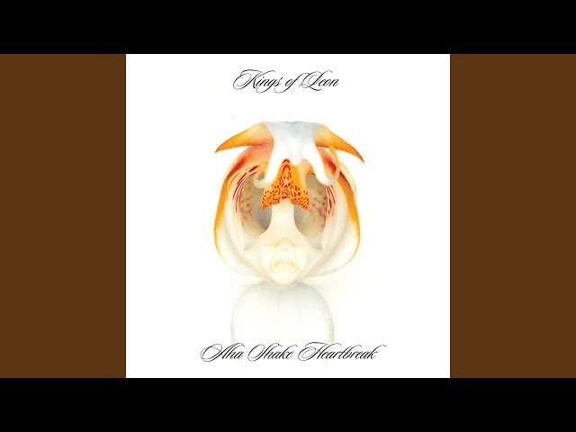 Постер Kings Of Leon - Day Old Blues