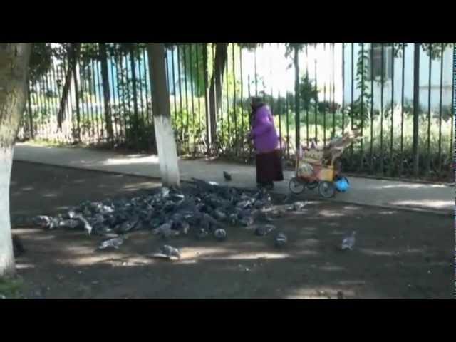 Постер Бичевская Жанна - Дивеево