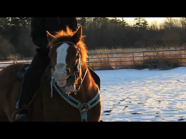 Постер Alan Parsons Project - Since the Last Goodbye