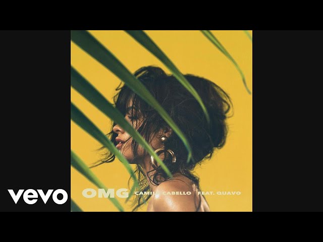 Постер Camila Cabello - OMG (oh my god)