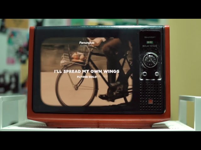 Постер Pamungkas - Flying Solo