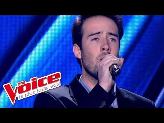 Постер Daniel Balavoine - Sos Dun Terrien En Détresse