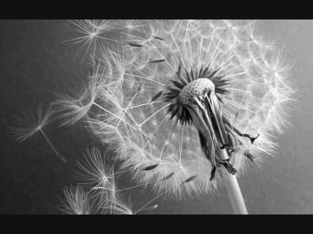 Постер B-Zet feat. Nikola - In Your Eyes
