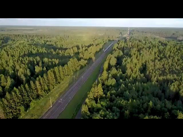 Постер Саранча - Те поезда