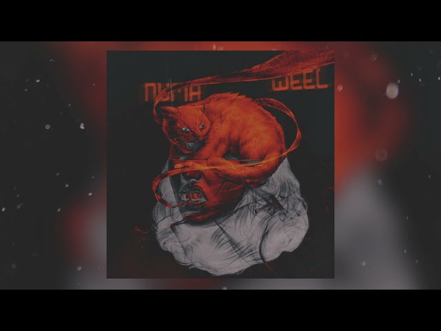 Постер Weel - Пума