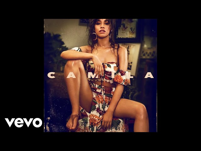 Постер Camila Cabello - In The Dark