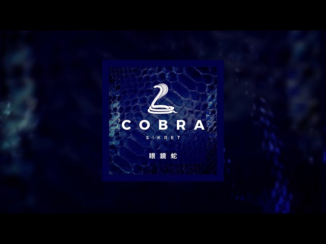 Постер Sikret - Cobra