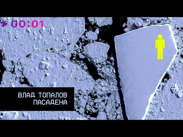 Постер Влад Топалов - Пасадена