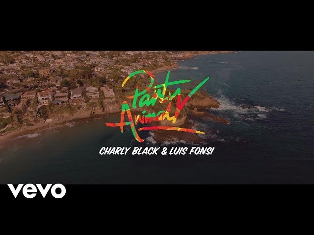 Постер Charly Black & Luis Fonsi - Party Animal