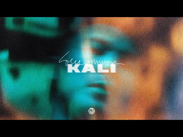 Постер Kali - ZAEBISZHE (feat. Truwer)