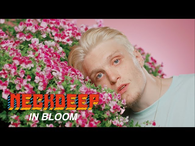 Постер Neck Deep - In Bloom