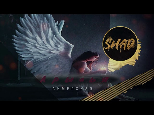Постер AhmedShad - Крылья