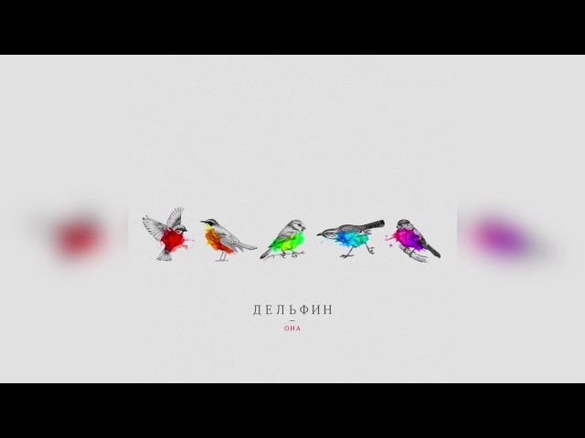 Постер Дельфин - Чудо