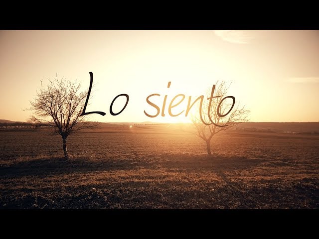 Постер Beret - Lo Siento