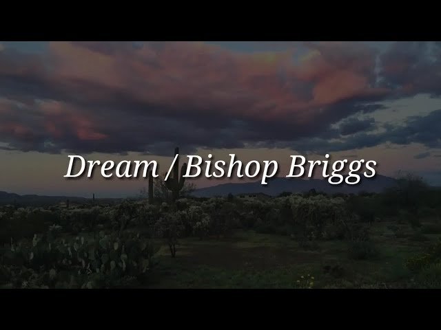 Постер Bishop Briggs - Dream