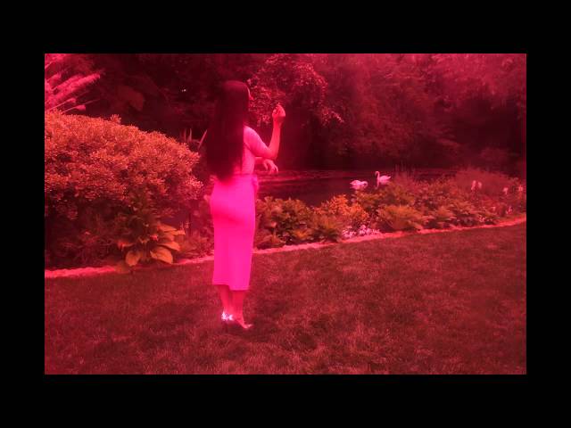 Постер Allie X - Bitch