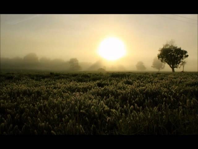 Постер Bob Dylan - New Morning