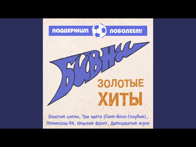 Постер Бивни - Невский Фронт