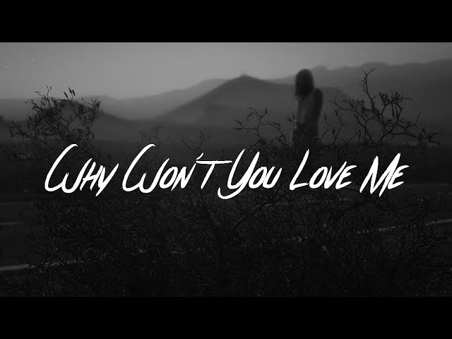 Постер 5 Seconds Of Summer - Why Wont You Love Me