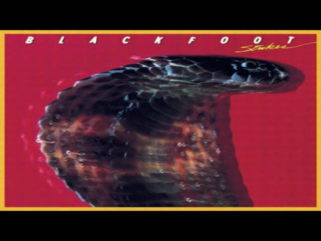 Постер Blackfoot - Train Train