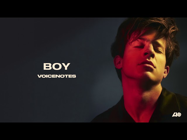 Постер Charlie Puth - Boy