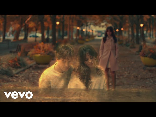 Постер Camila Cabello - Consequences