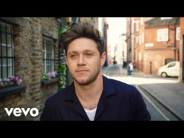 Постер Niall Horan - Nice To Meet Ya