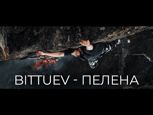 Постер Bittuev - Пелена