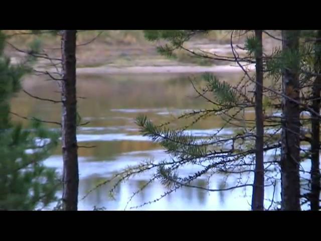 Постер Асмолов Владимир - река- мечта