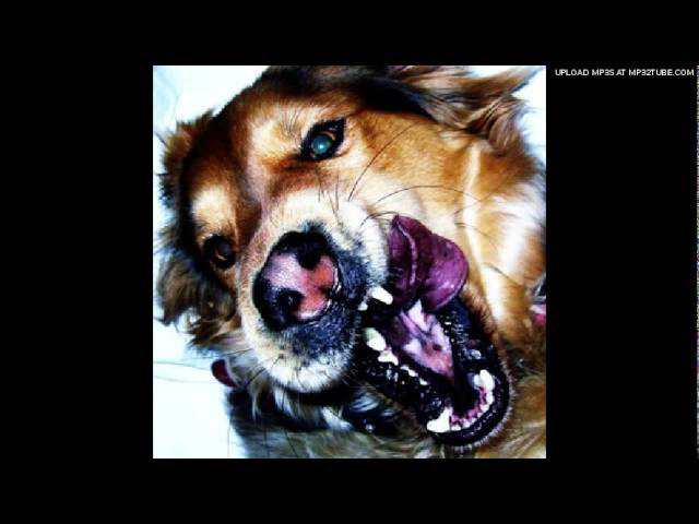 Постер Coma Cinema - Caroline Please Kill Me