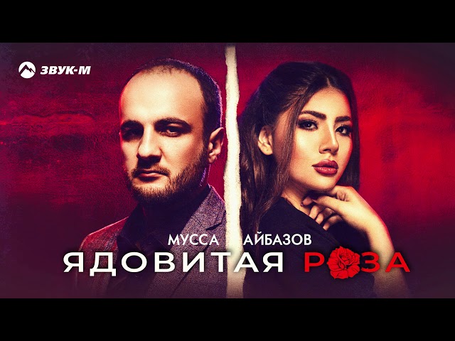Постер Мусса Айбазов - Ядовитая роза