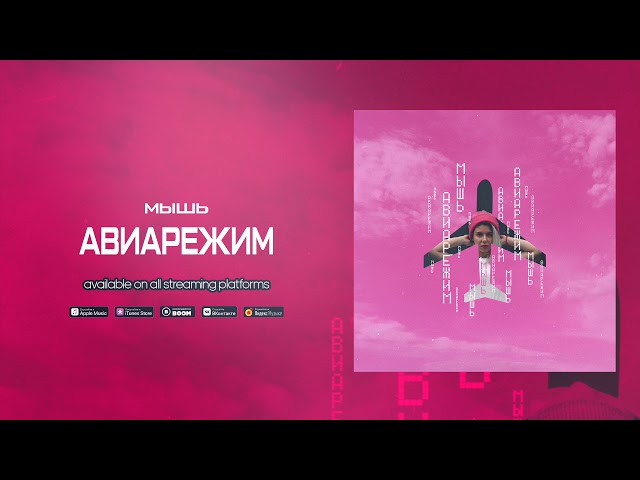 Постер Мышь - Авиарежим
