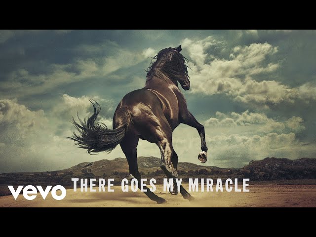 Постер Bruce Springsteen - There Goes My Miracle