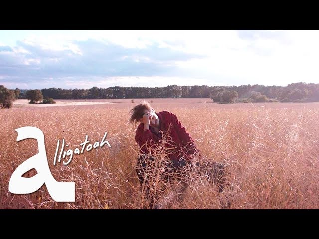 Постер Alligatoah - Alli Alligatoah