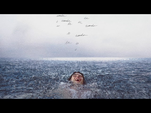 Постер Shawn Mendes - Cant Imagine