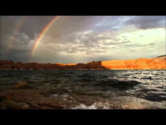 Постер Tom Petty - Angel Dream