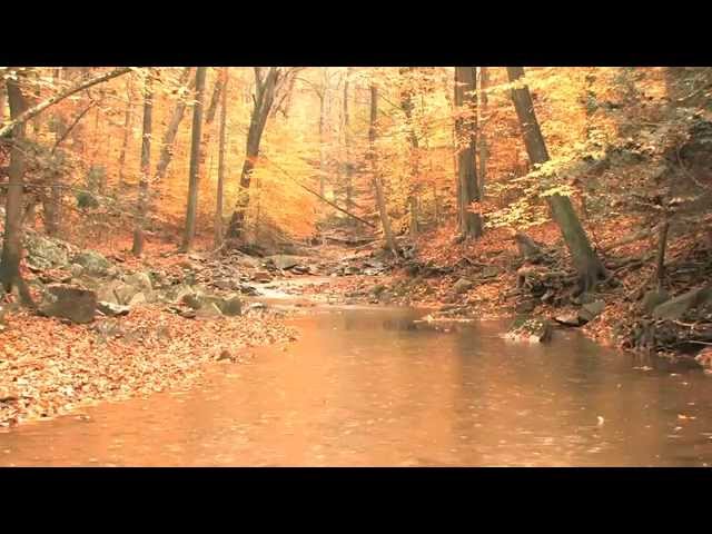 Постер Дроздов Сергей (Синяя птица) - Осень прошла